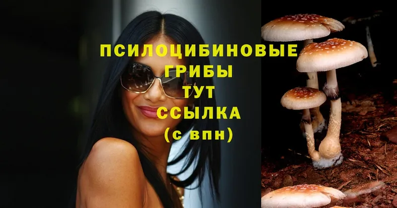 Галлюциногенные грибы Psilocybine cubensis  ссылка на мегу ссылки  Барнаул 